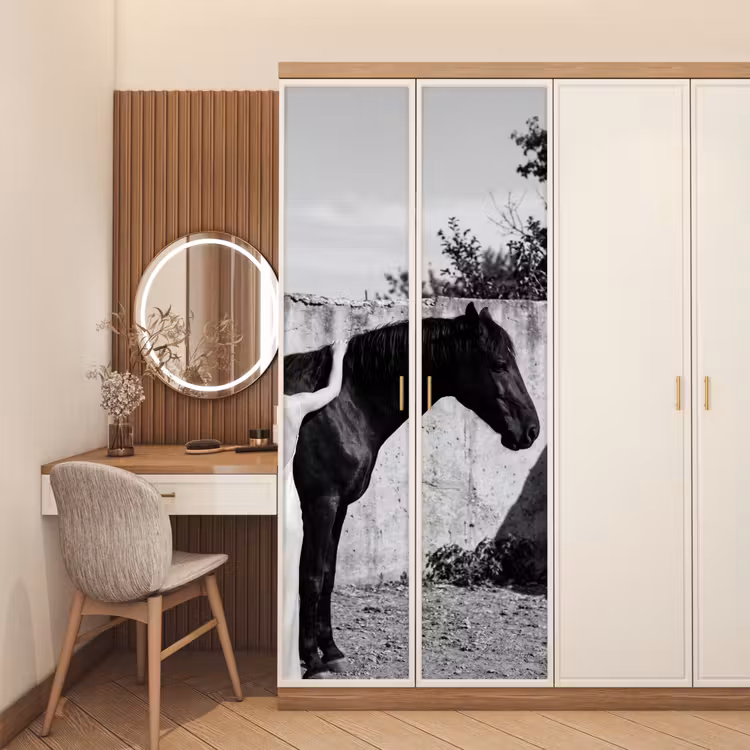 Deursticker - Vrouw - Paard - Artistiek — 5