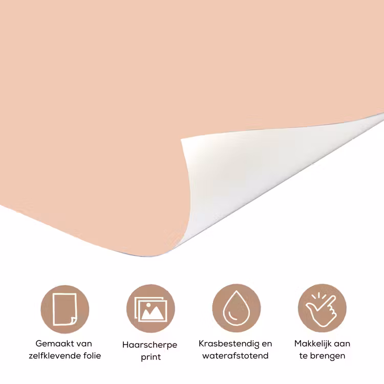 Deursticker - Too old for dicaprio - Roze - Groen — 3