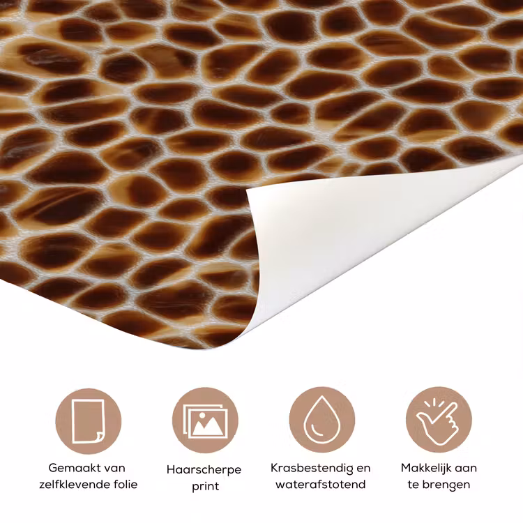 Deursticker - Schildpad - Bruin - Patroon — 3