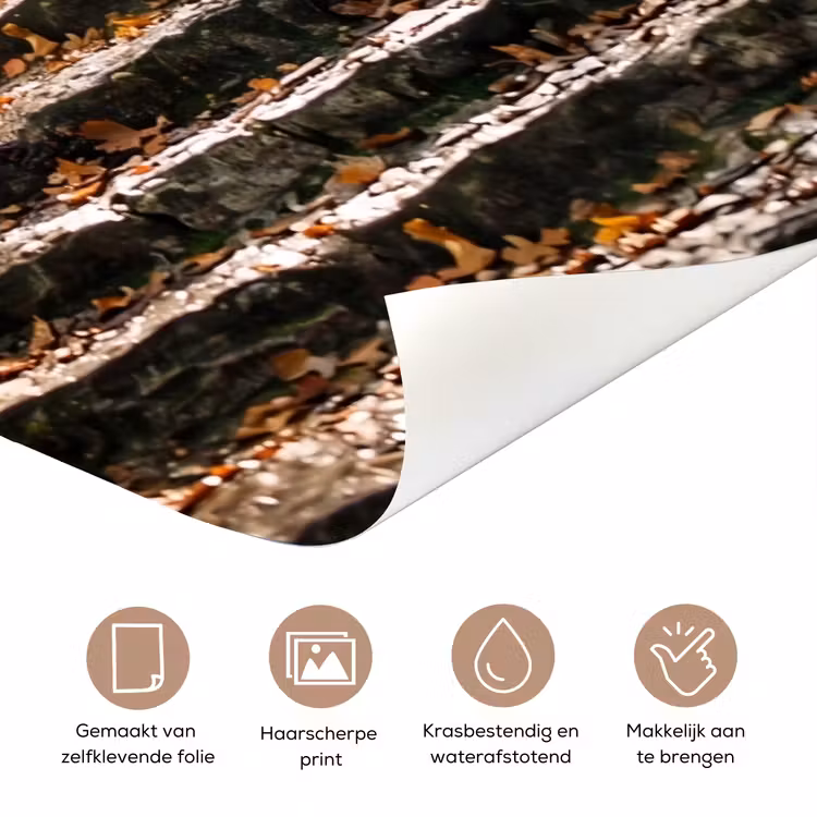 Deursticker - Stenen - Trap - Bos - Natuur — 3
