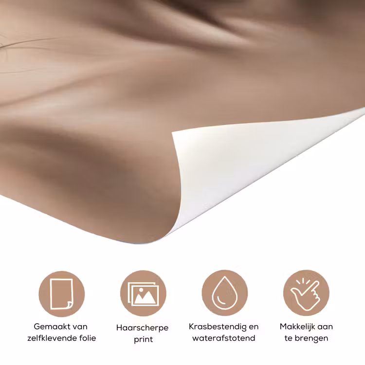 Deursticker - Vrouw - Pioenroos - Wit — 3