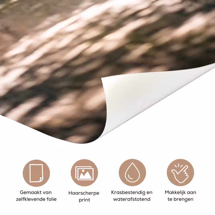 Deursticker - Weg - Bomen - Natuur - Groen — 3
