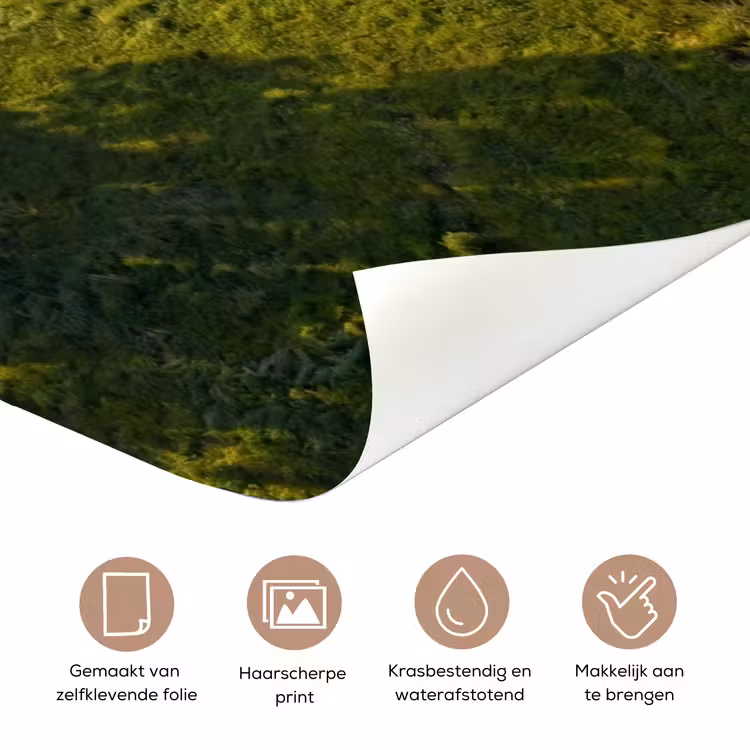 Deursticker - Weg - Weide - Natuur - Groen — 3
