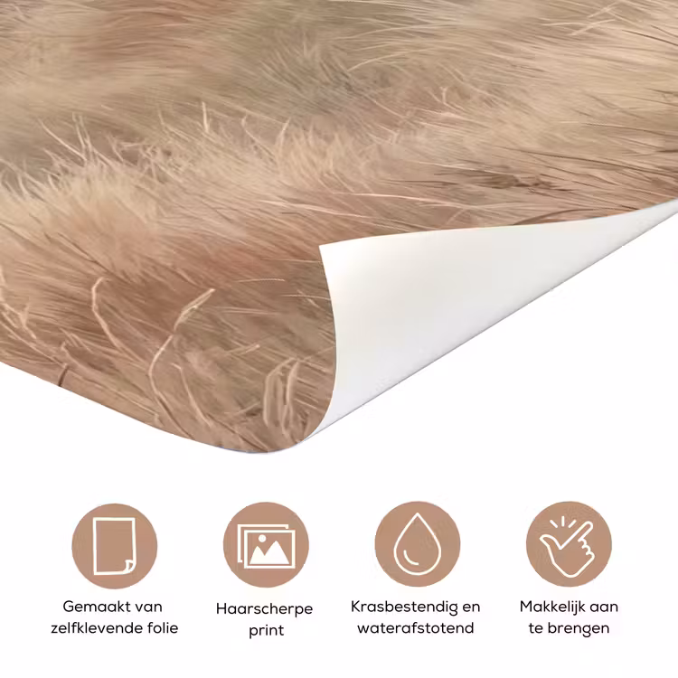 Deursticker - Landschap - Minimalistisch - Beige — 3