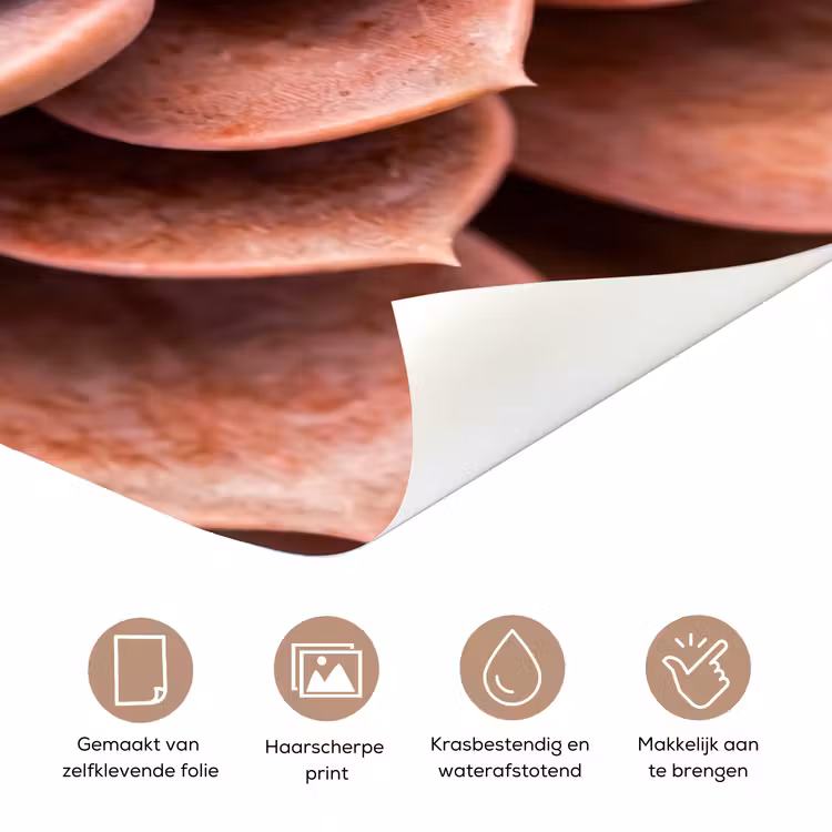Deursticker - Vetplant - Organisch - Roze — 3