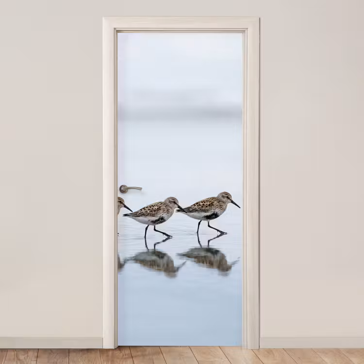 Deursticker - Vogels - Water - Grijs — 1
