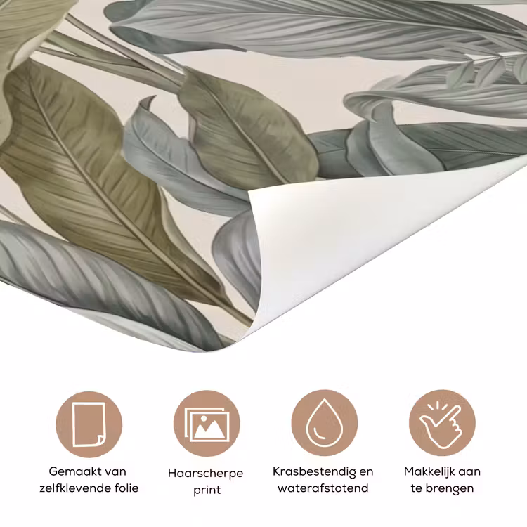 Deursticker - Tropisch - Planten - Modern - Groen — 3