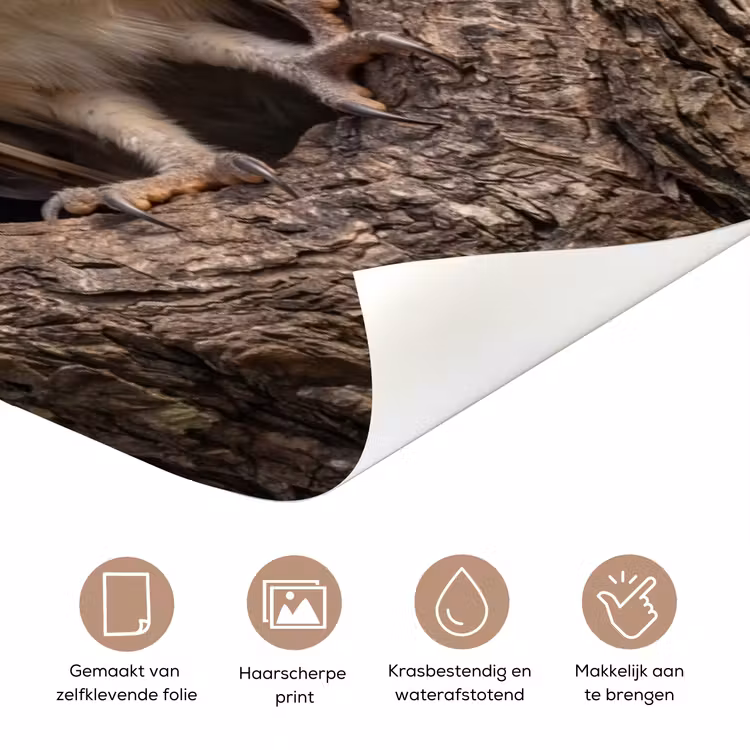 Deursticker - Kerkuil - Boom - Natuur - Bruin — 3