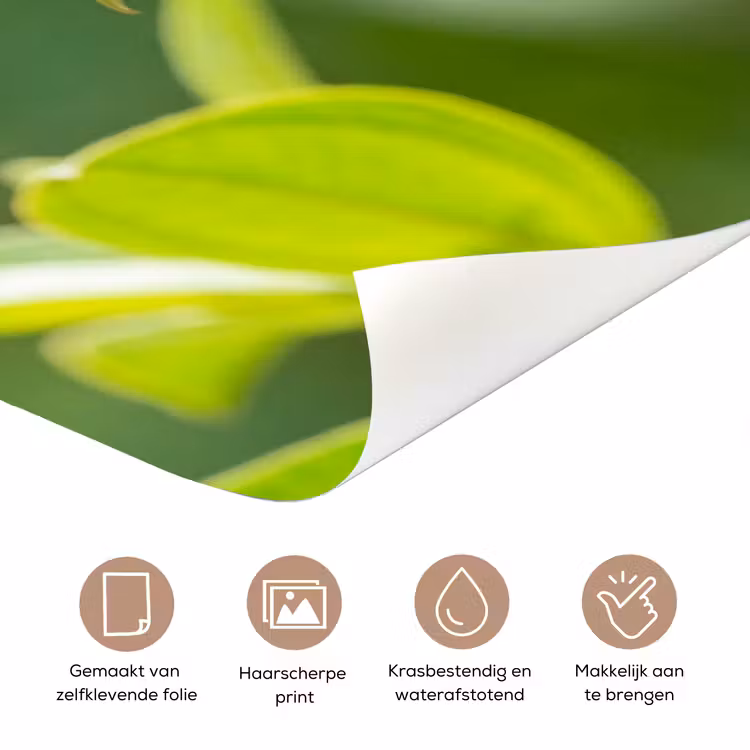 Deursticker - Kolibrie - Bloem - Natuur - Groen — 3