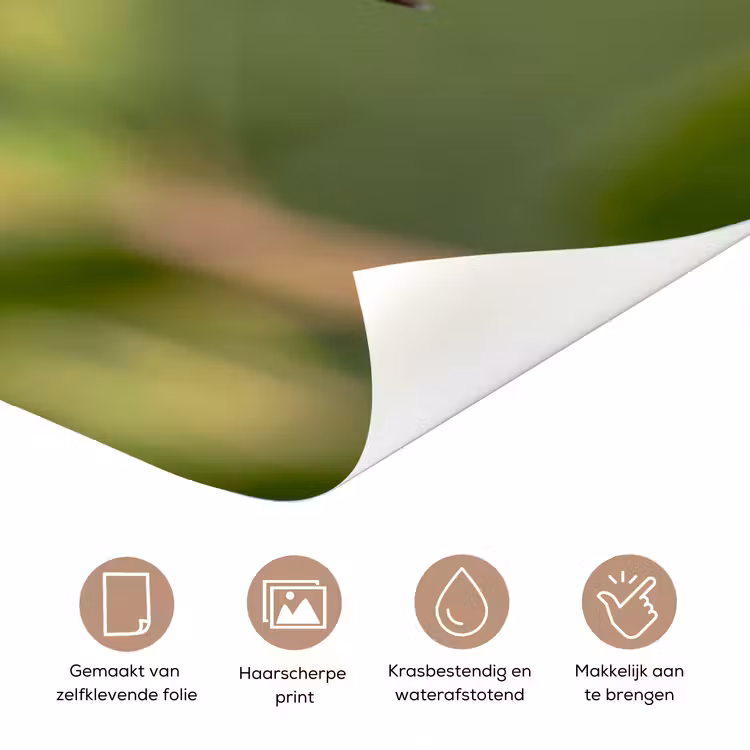 Deursticker - Kolibrie - Bloem - Natuur - Groen — 3