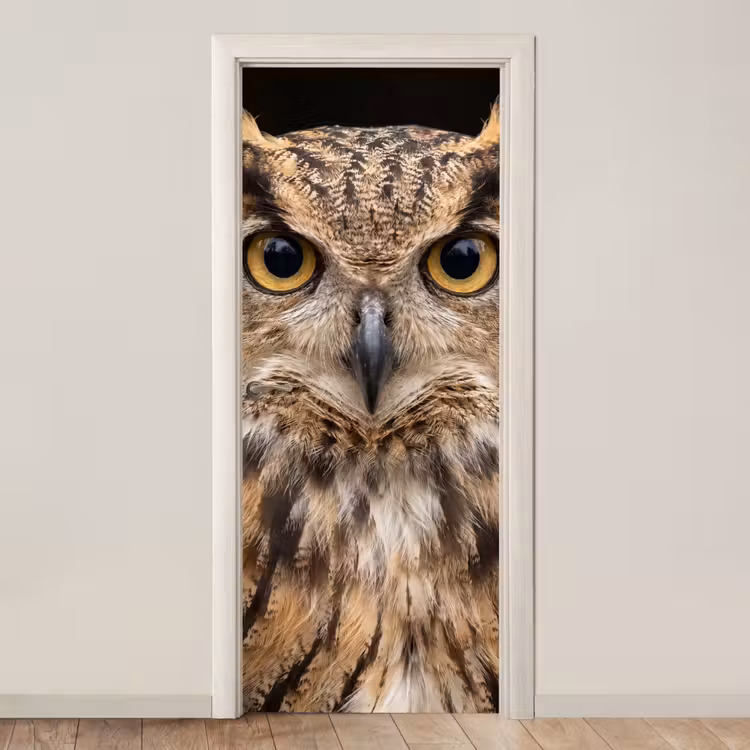 Deursticker - Oehoe - Uil - Portret - Bruin — 1