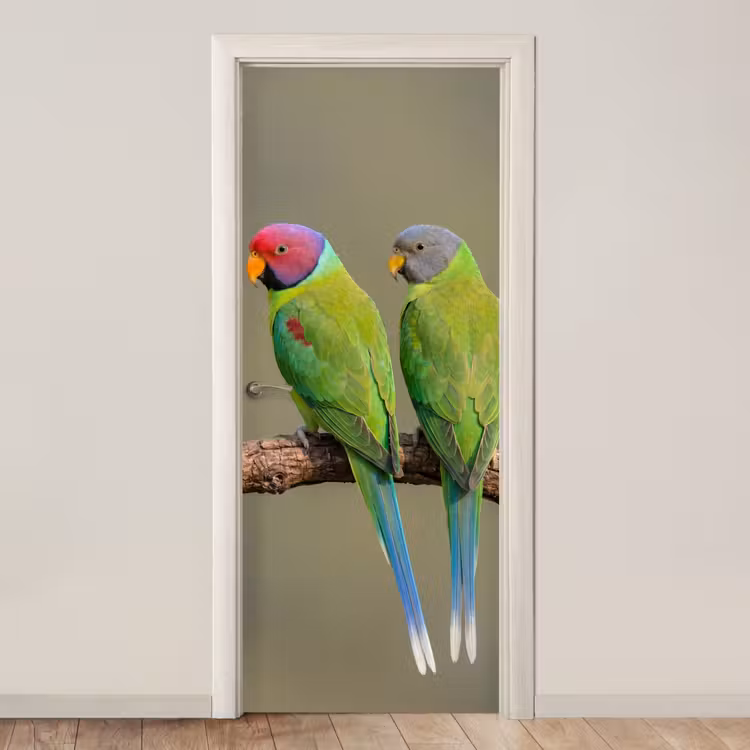 Deursticker - Papagaai - Tak - Natuur - Kleurrijk — 1
