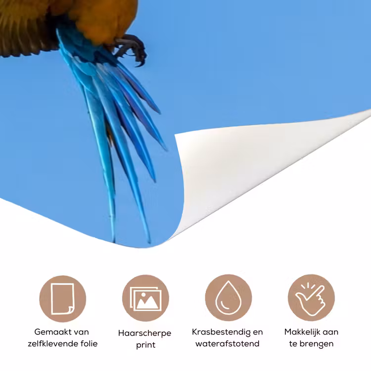 Deursticker - Papagaai - Vliegen - Blauw - Geel — 3