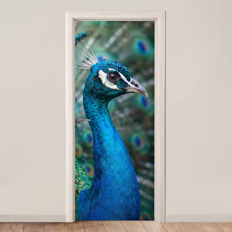 Deursticker - Pauw - Veren - Blauw — 1
