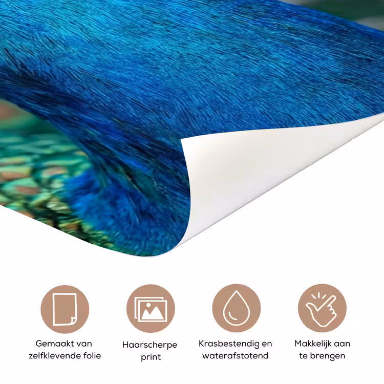 Deursticker - Pauw - Veren - Blauw — 3