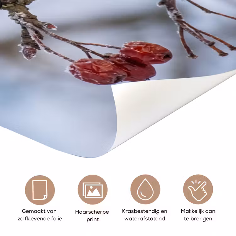 Deursticker - Pestvogel - Bessen - Winter - Natuur — 3