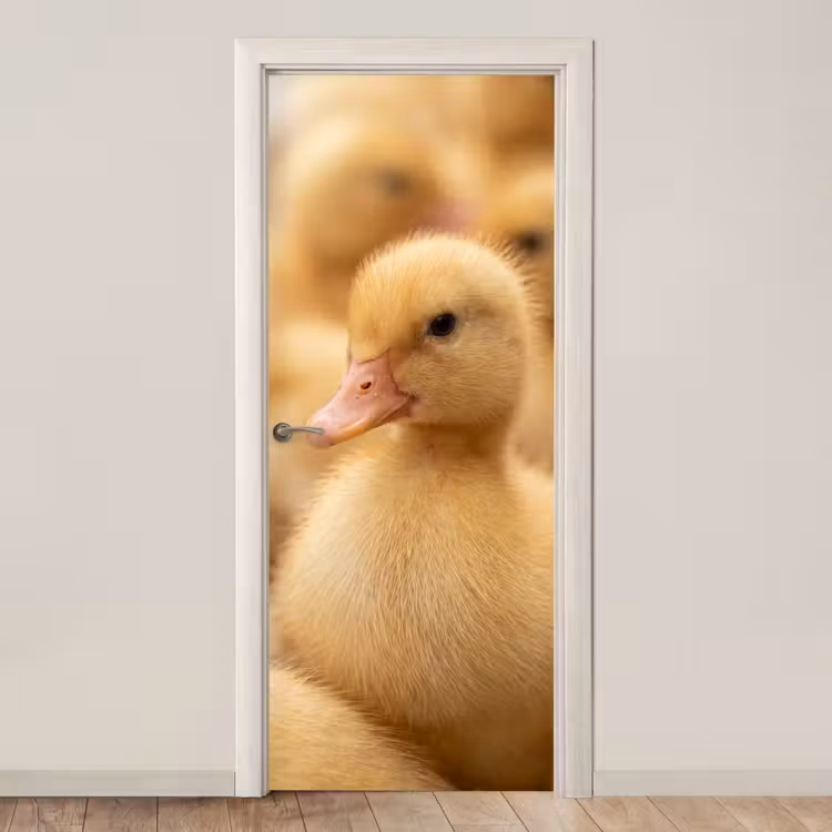 Deursticker - Pijltje - Eend - Natuur - Geel — 1
