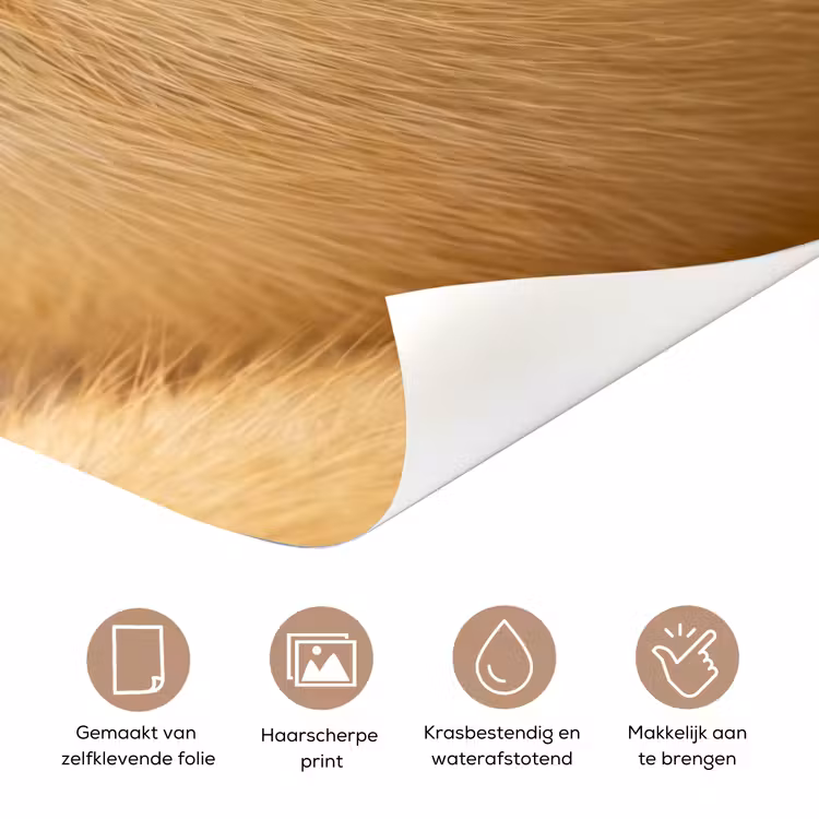 Deursticker - Pijltje - Eend - Natuur - Geel — 3