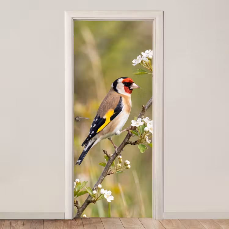 Deursticker - Putter - Bloesem - Lente - Natuur - Kleurrijk — 1