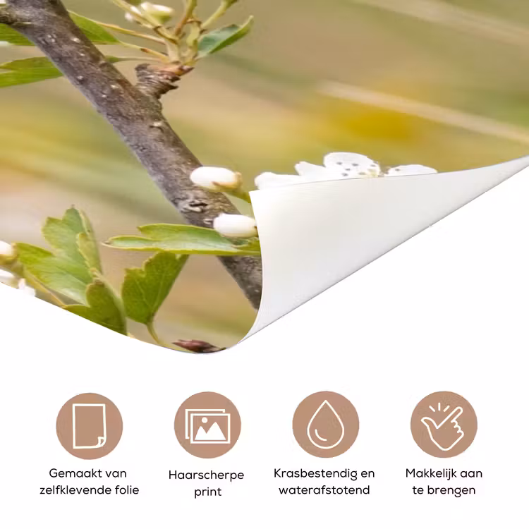 Deursticker - Putter - Bloesem - Lente - Natuur - Kleurrijk — 3