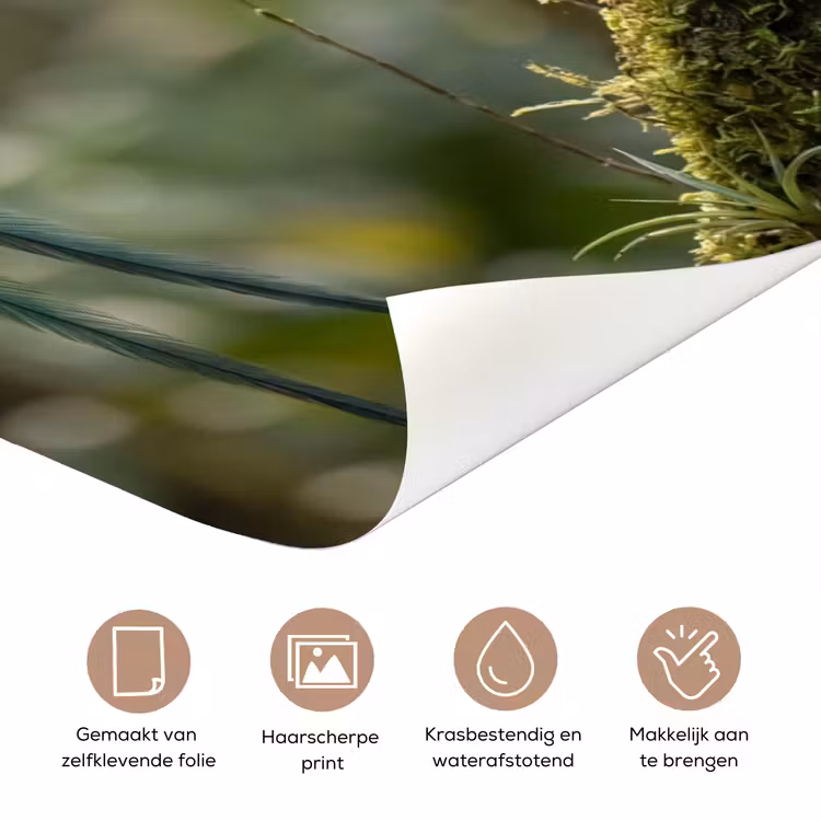 Deursticker - Quetzal - Jungle - Natuur - Groen — 3
