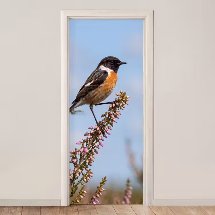 Deursticker - Roodborsttapuit - Heide - Paars - Natuur - Sfeervol — 1