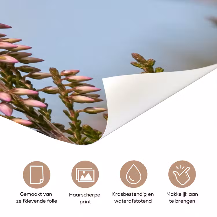 Deursticker - Roodborsttapuit - Heide - Paars - Natuur - Sfeervol — 3