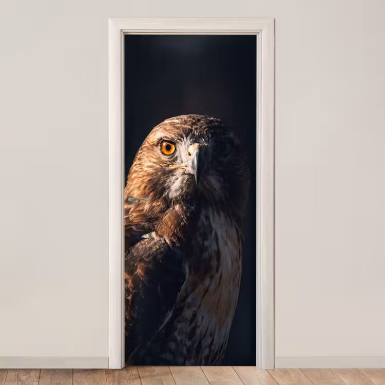 Deursticker - Roofvogel - Buizerd - Bruin — 1