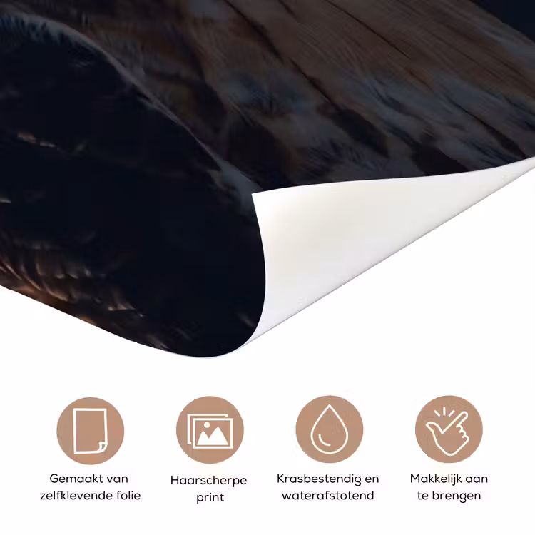 Deursticker - Roofvogel - Buizerd - Bruin — 3