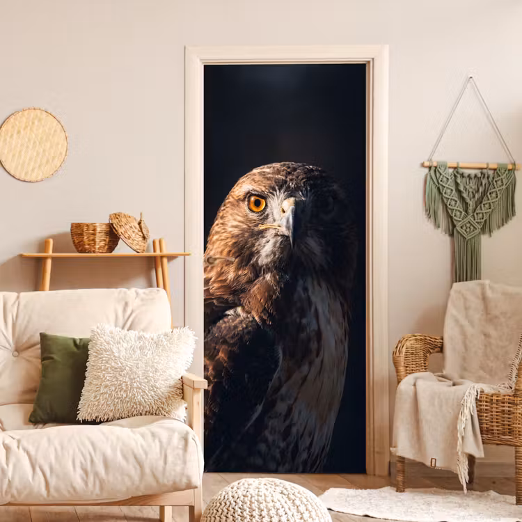 Deursticker - Roofvogel - Buizerd - Bruin — 4