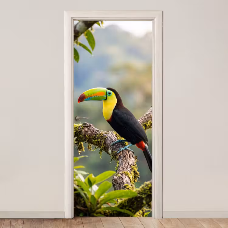 Deursticker - Toekan - Jungle - Natuur - Kleurrijk — 1