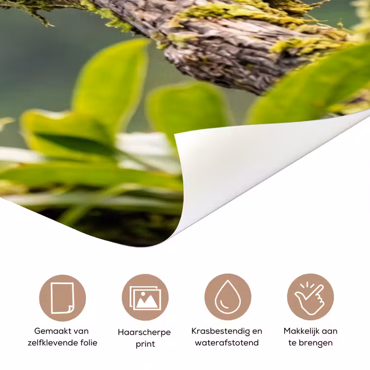 Deursticker - Toekan - Jungle - Natuur - Kleurrijk — 3