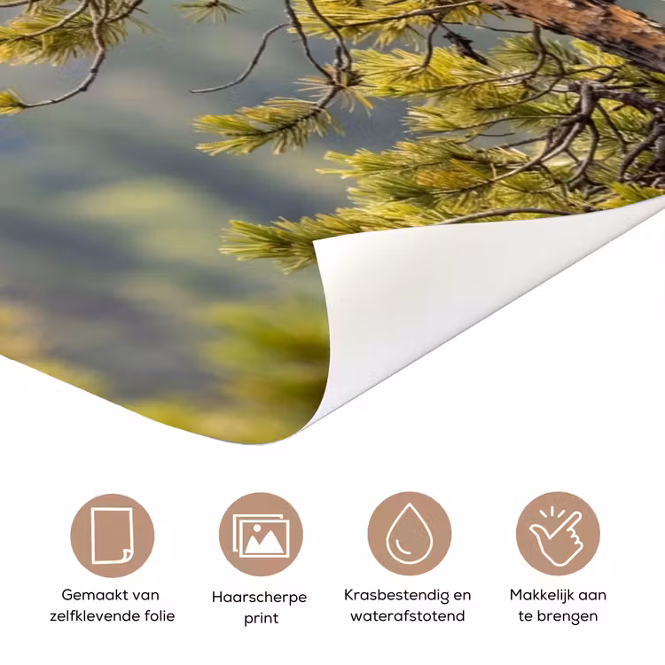 Deursticker - Uil - Oehoe - Bomen - Natuur — 3