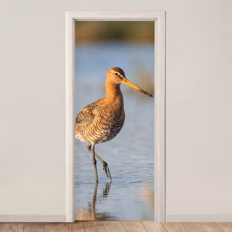 Deursticker - Vogel - Steltloper - Water - Natuur — 1