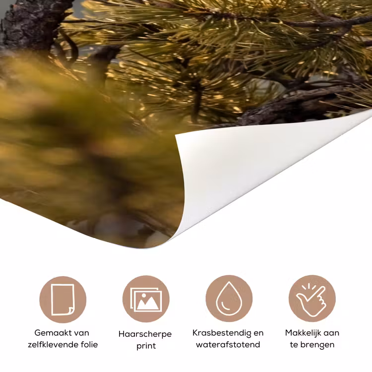 Deursticker - Zeearend - Boom - Bergen - Groen — 3