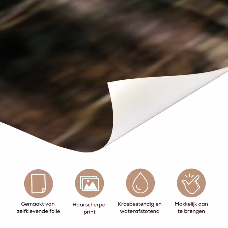 Deursticker - Zeearend - Vliegen - Bos - Natuur — 3