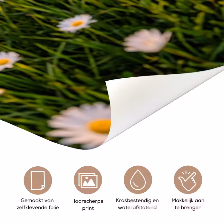 Deursticker - Madelief - Veld - Heuvels - Groen — 3