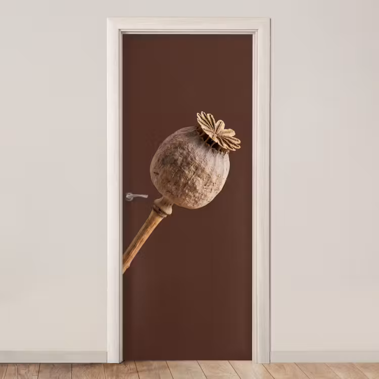 Deursticker - Papaverbol - Droogbloem - Bruin - Minimalistisch — 1