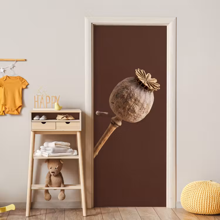 Deursticker - Papaverbol - Droogbloem - Bruin - Minimalistisch — 6