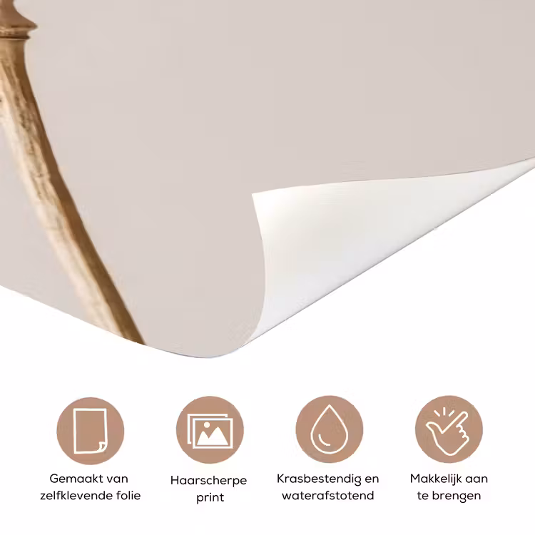 Deursticker - Papaverbollen - Droogbloemen - Minimalistisch - Beige - Rustig — 3