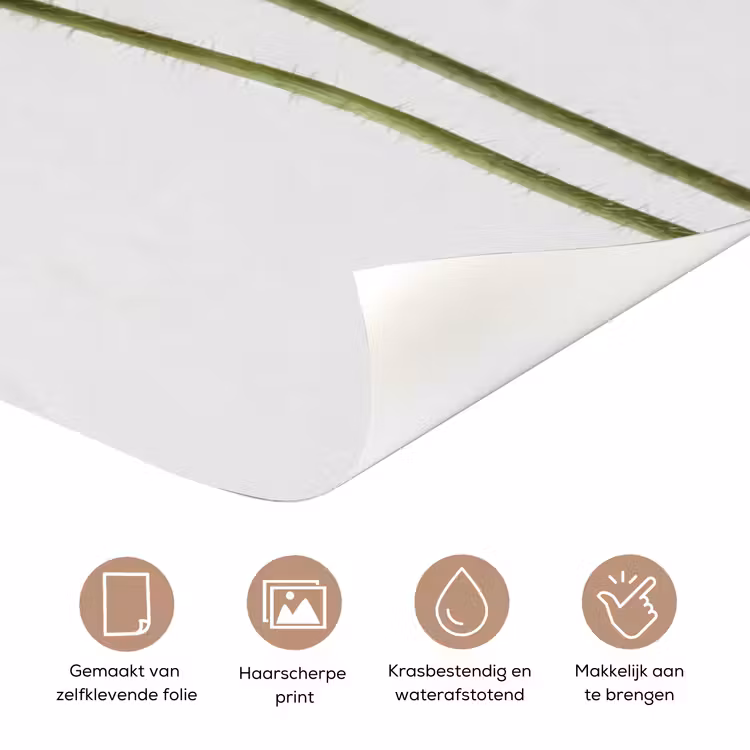 Deursticker - Papavers - Botanisch - Roze — 3