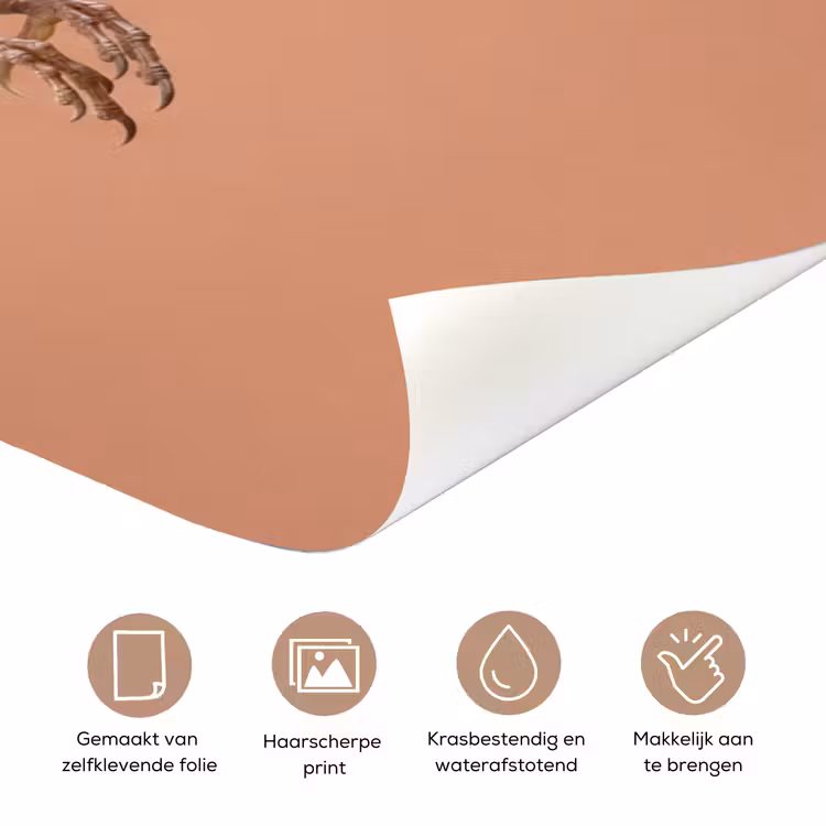 Deursticker - Roodborst - Natuur - Roze — 3