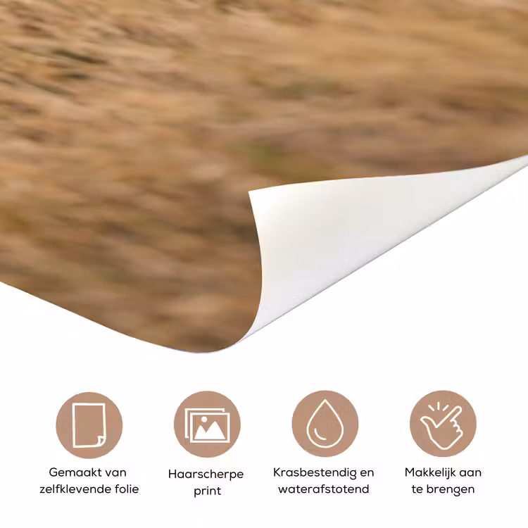 Deursticker - Runderen - Kudde - Landschap - Weide - Rustig — 3