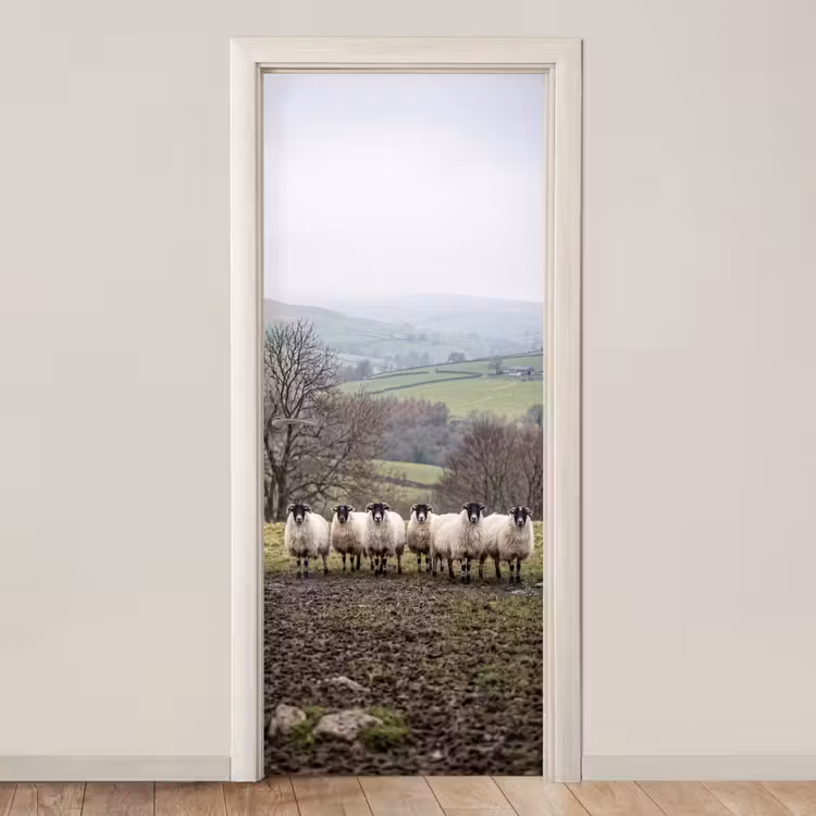Deursticker - Schapen - Rij - Weide - Dieren - Platteland — 1