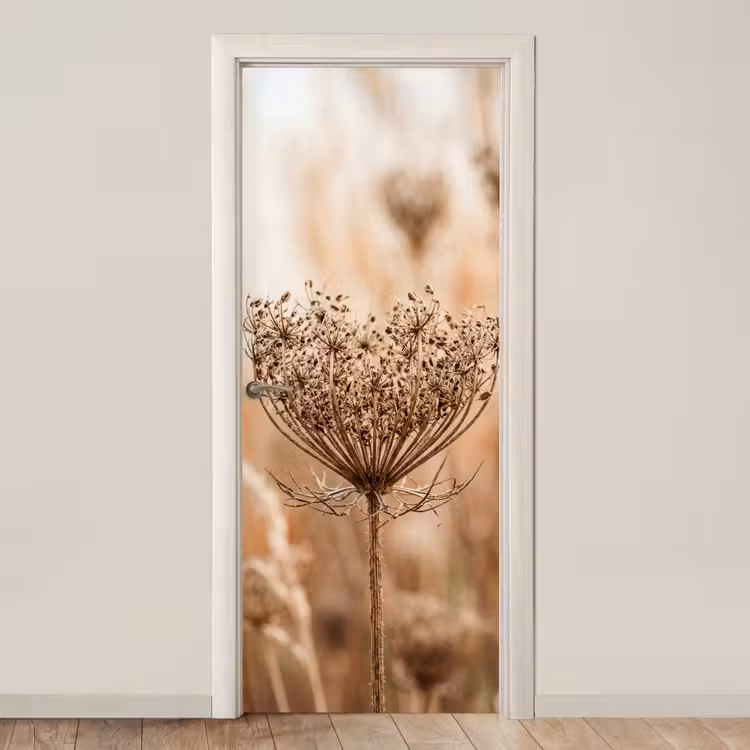 Deursticker - Schermbloem - Droogbloem - Winter - Beige - Minimalistisch — 1