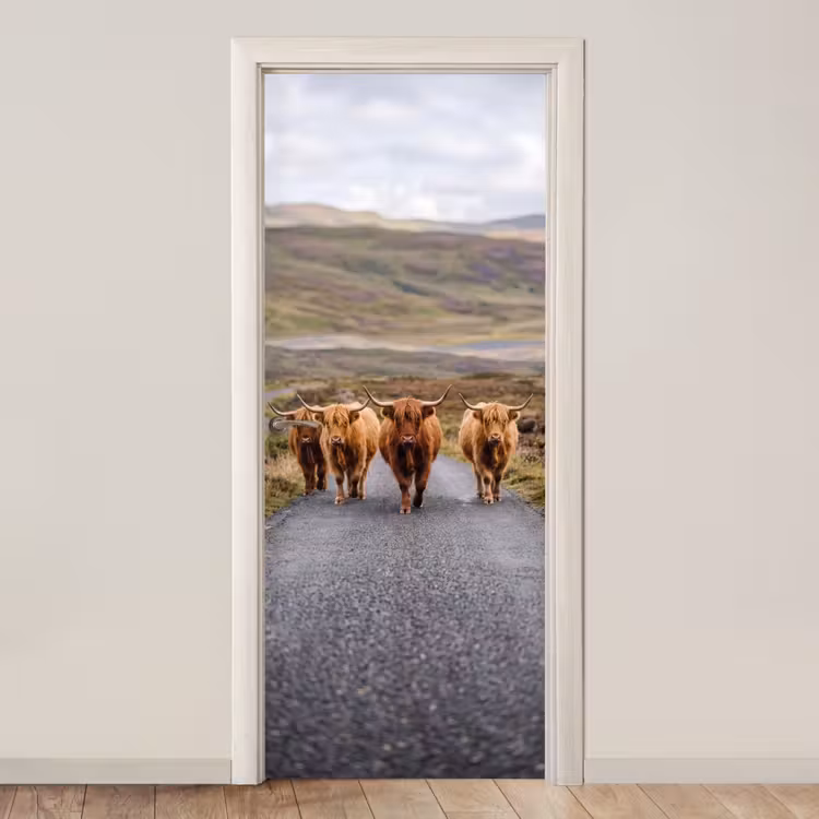 Deursticker - Schotse Hooglanders - Weg - Landschap - Kudde — 1