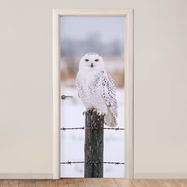 Deursticker - Sneeuwuil - Hek - Sneeuw - Wit — 1