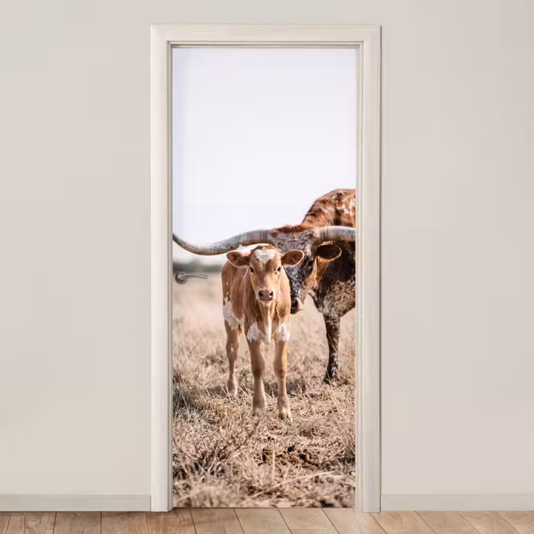 Deursticker - Texas Longhorn - Kalf - Weide - Dieren — 1