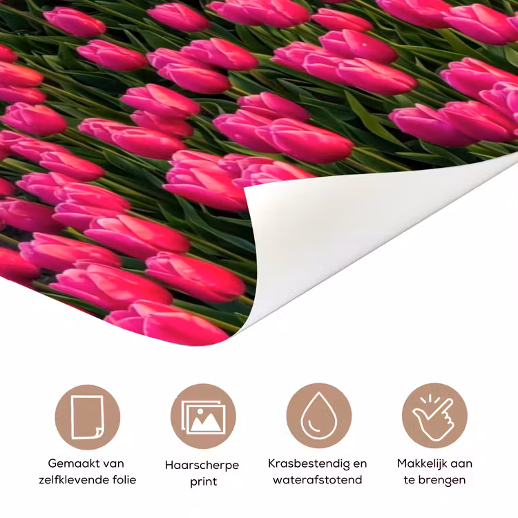 Deursticker - Tulpen - Holland - Molen - Kleurrijk — 3