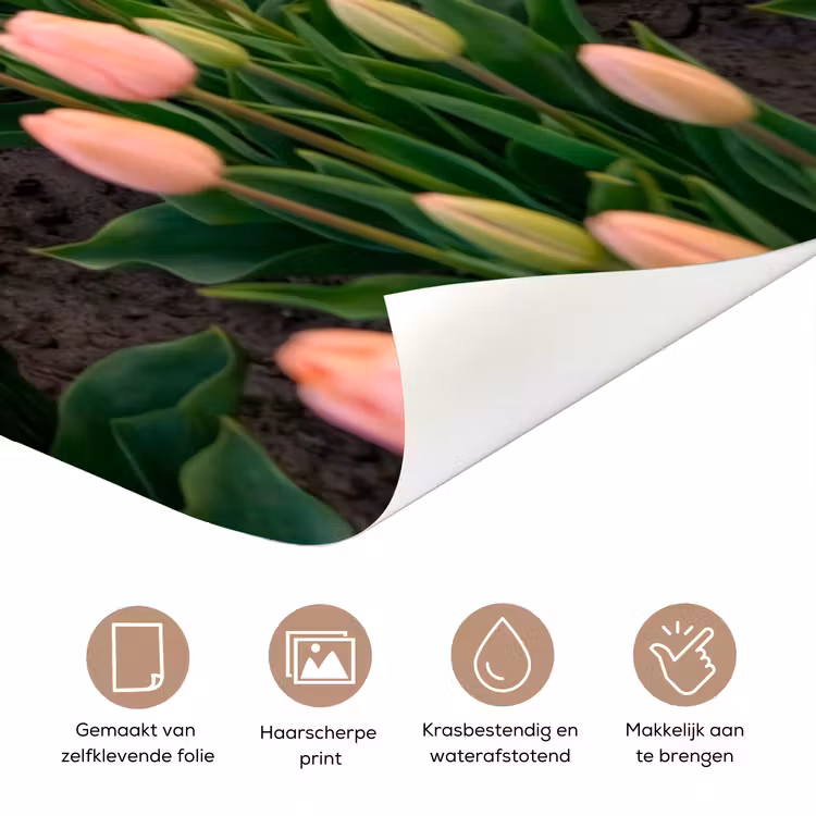 Deursticker - Tulpen - Landschap - Roze — 3